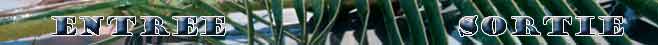 video lesbiennes