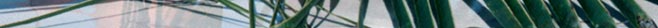 vid�o nue